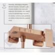 Set dus perete ARS SATIN COPPER 2420180 VALVEX