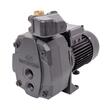 Hidrofor fonta P=1500W aspiratie=40m refulare=68m DEBIT=48l/min VAS=50l POMPA DE SUPRAFATA MARE FA684850 WASSERKONIG