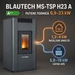 Termosemineu peleti 23Kw ANTRACIT BLAUTECH