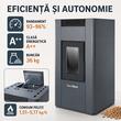 Termosemineu peleti 23Kw ANTRACIT BLAUTECH