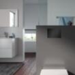 Actionare rezervor WC 2 trepte GRAFIT METALIC 9240423 TECE