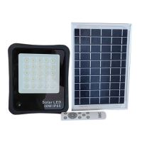 Proiector solar 30W cu panou solar 6W WELL