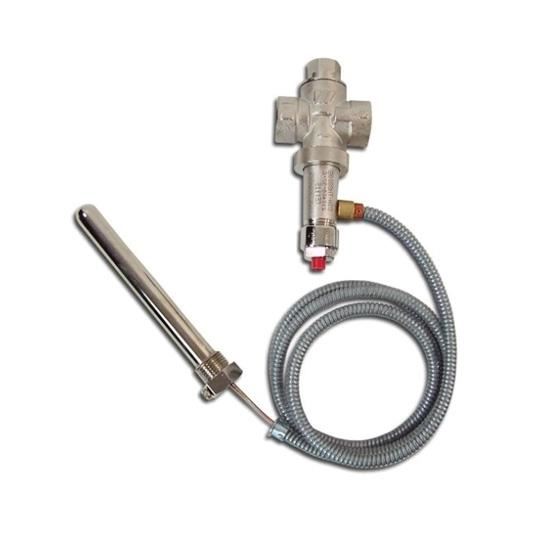 Supapa termica STS20 S WATTS