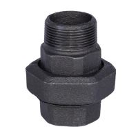 Olandez negru 1/2 int ext
