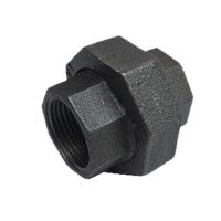 Olandez negru 3/4 int int