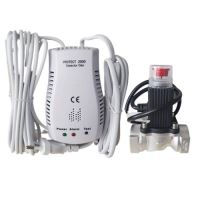 Detector gaz 3/4 cu electrovana P2000 PROTECT 