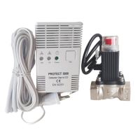 Detector gaz si monoxid 3/4 cu electrovana P5000 PROTECT