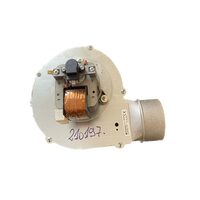 Ventilator BRESCIA 21S T20 FERROLI