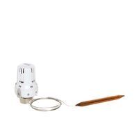 Cap termostatic cu sonda M30X1.5 ICMA