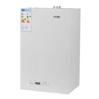 Centrala gaz 23Kw tiraj natural ErP TN K PLUS MOTAN KOBER