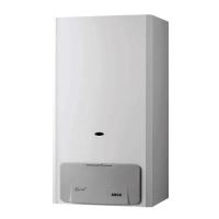 Centrala gaz 28Kw tiraj fortat POCKET 28F ARCA