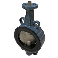 Robinet fluture motorizabil DN65 Z011A-65 EBRO ARMATUREN