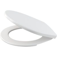 Capac WC basic antibacterial A6550 ALCA EVR