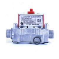 Vana gaz SGV 100 DOMIPROJECT D FERROLI